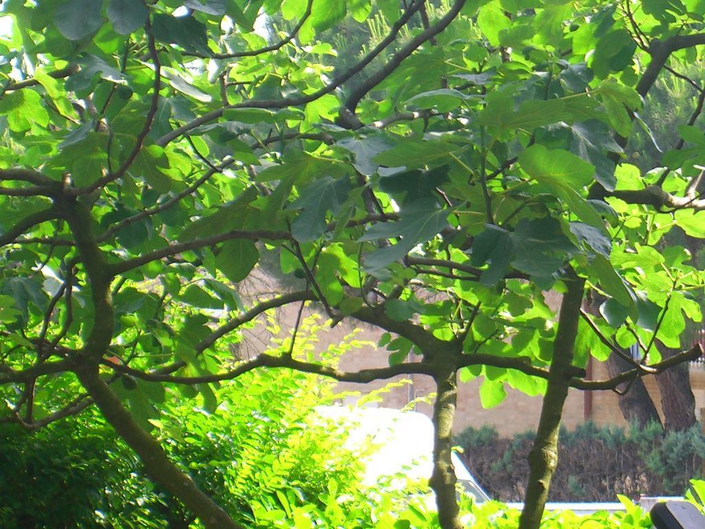 Hotel New Tiffany's Park