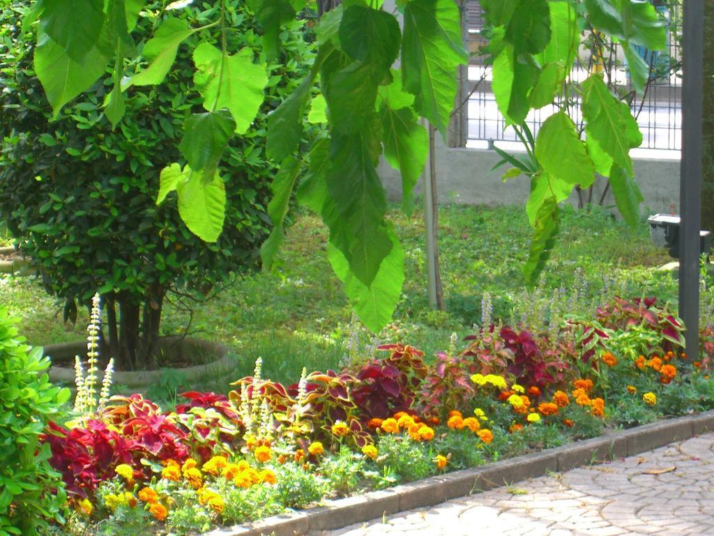 Hotel New Tiffany's Park Lido di Jesolo